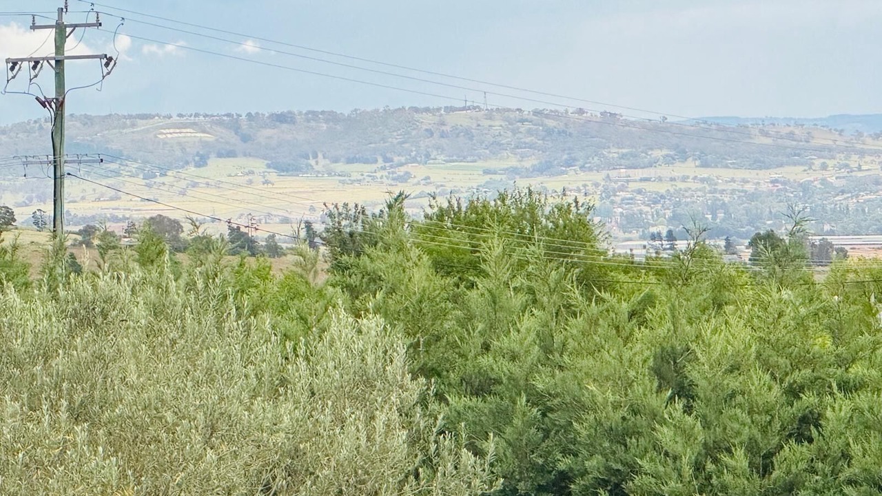 Photo of Others in Raglan