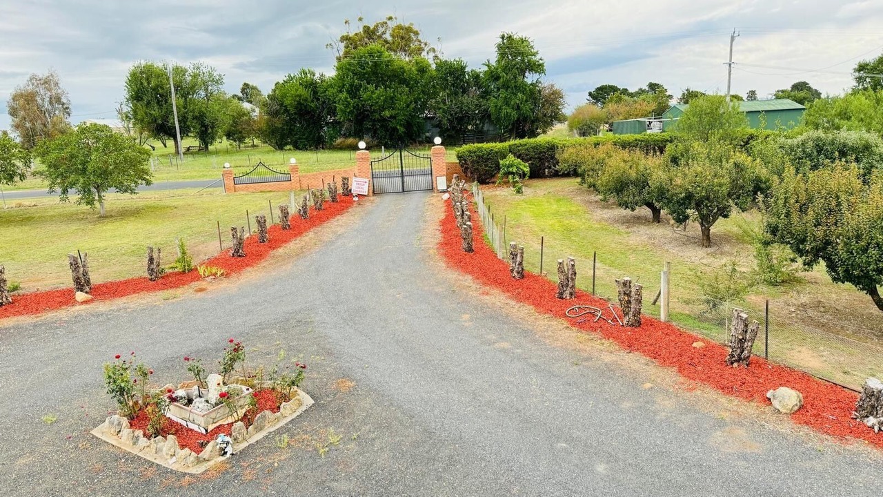 Photo of Outdoor in Raglan