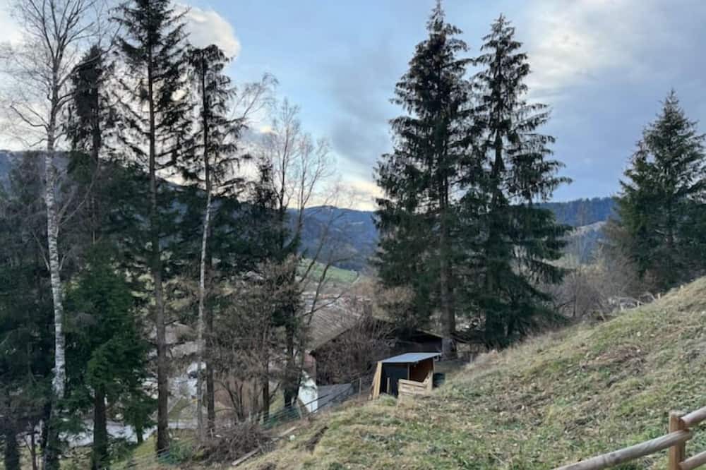 Photo of Others in Zumholz