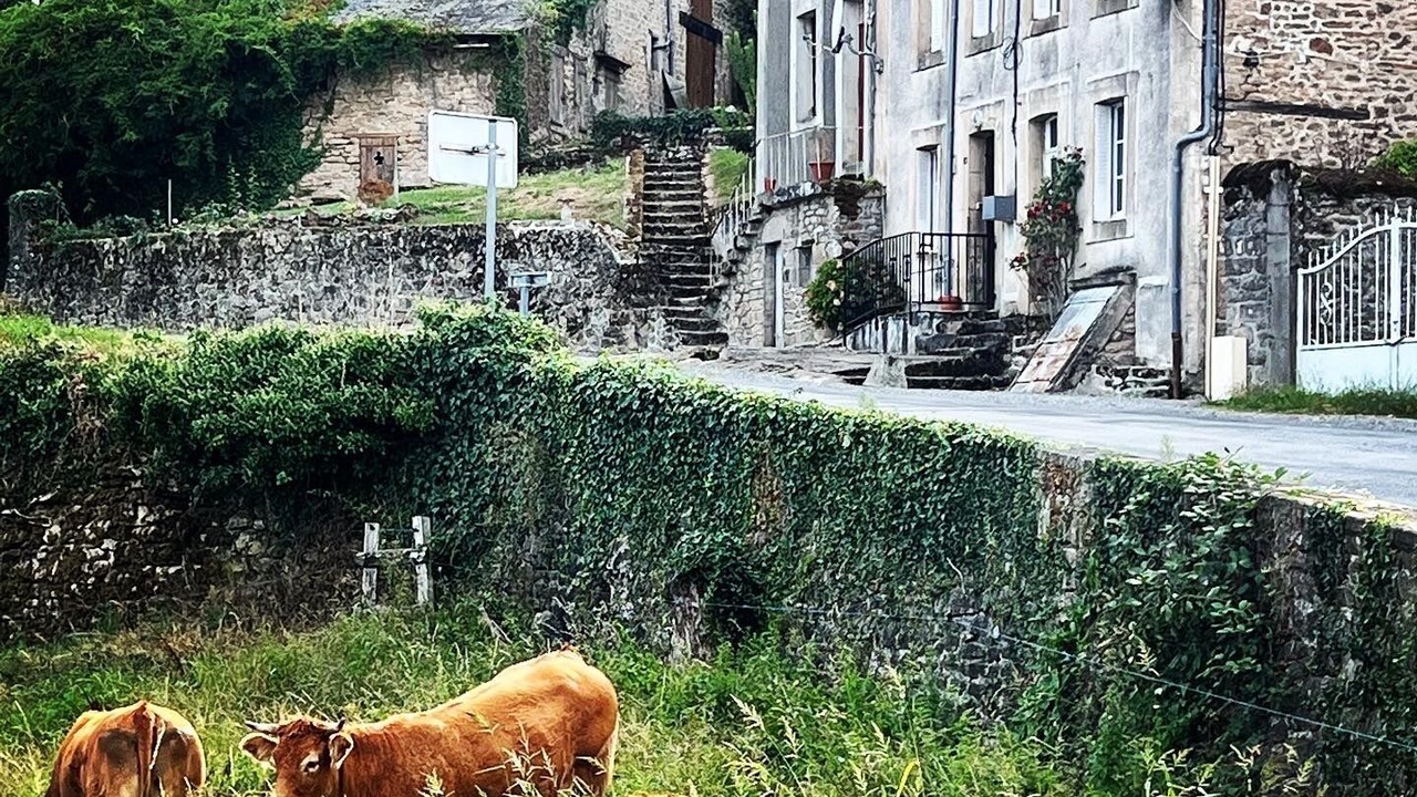 Photo of Outdoor in Bersac-sur-Rivalier