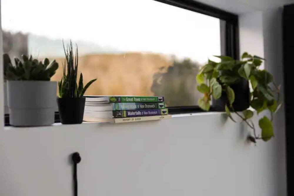 Photo of Others in Waterford