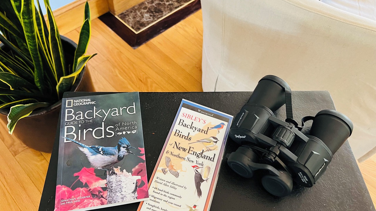 Photo of Others in Newburyport