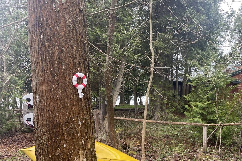 Photo of Outdoor in South Bruce Peninsula