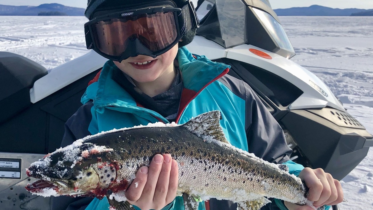 Photo of Others in Beaver Cove