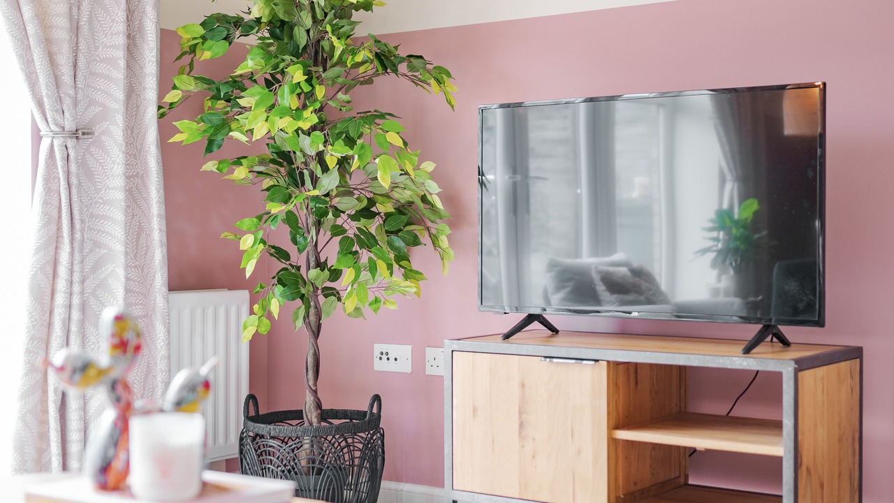 Photo of Others in Cambridge