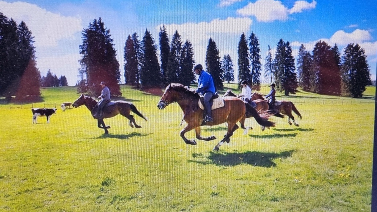 Photo of Outdoor in Les Breuleux
