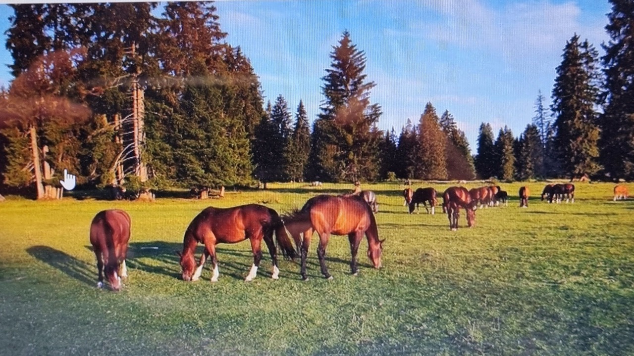 Photo of Outdoor in Les Breuleux
