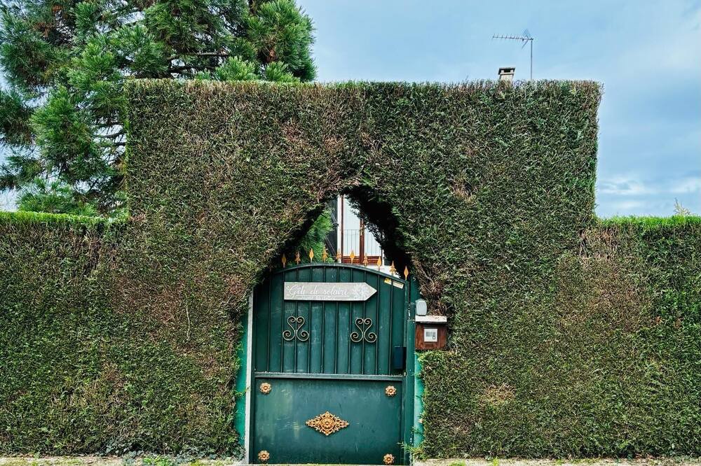 Photo of Outdoor in Bonnee