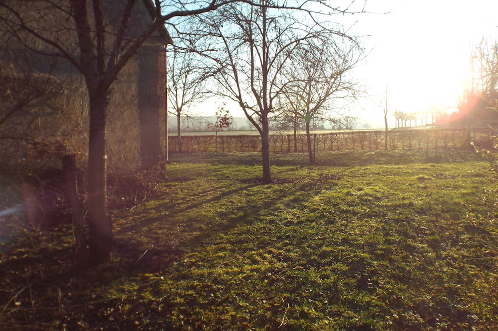 Photo of Bedroom in Drevant