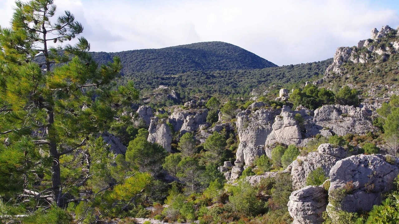 Photo of Bathroom in Lodeve