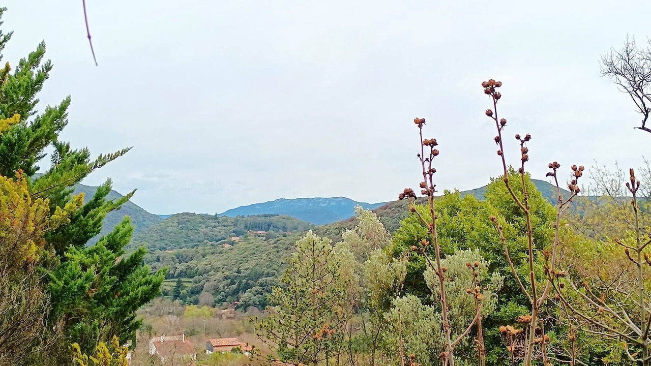 Photo of Others in Lodeve