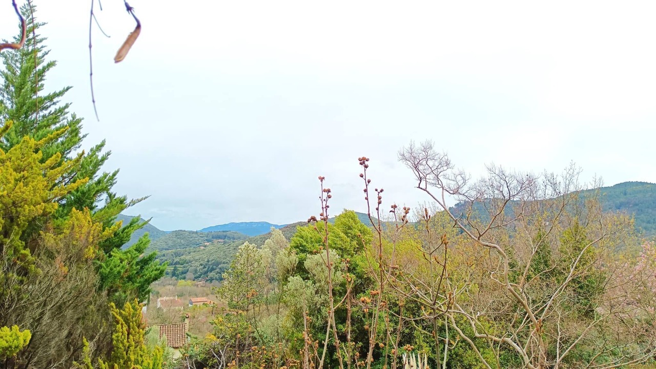 Photo of Outdoor in Lodeve