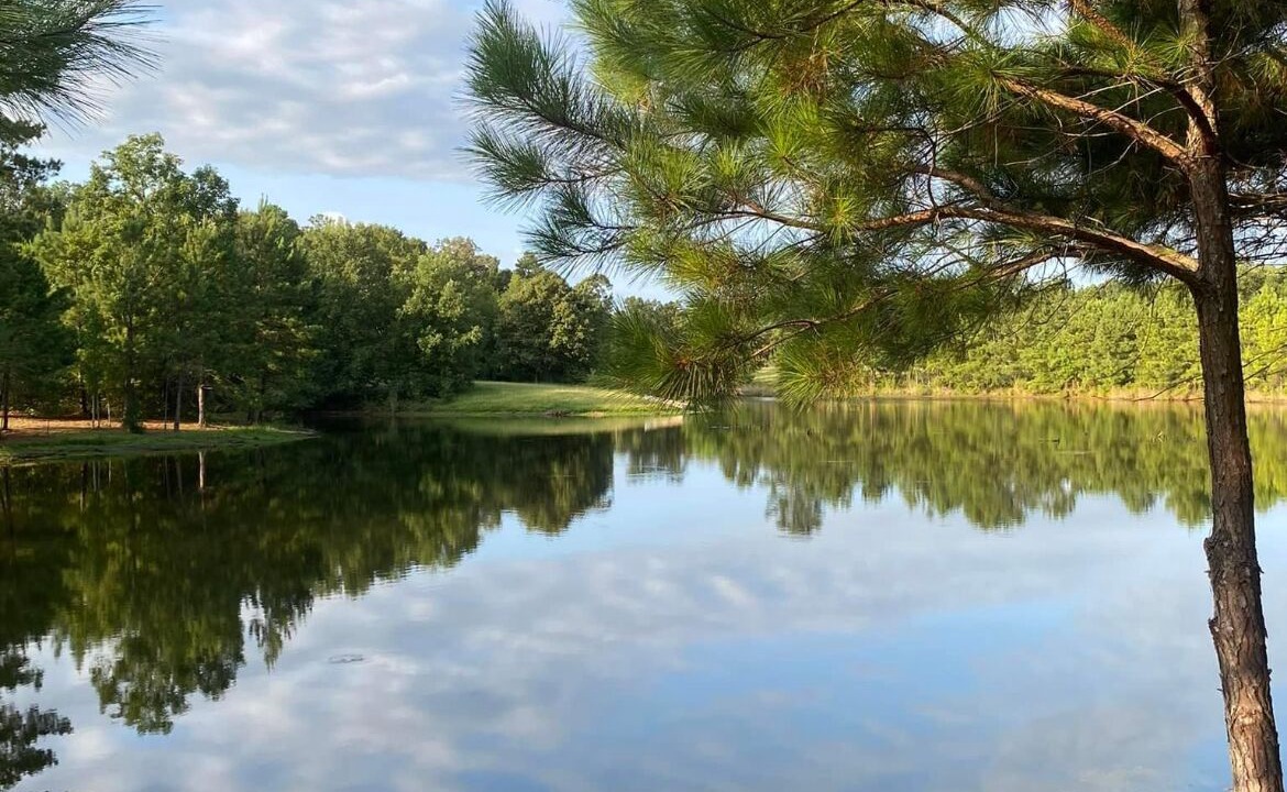 Photo of Outdoor in Harmon