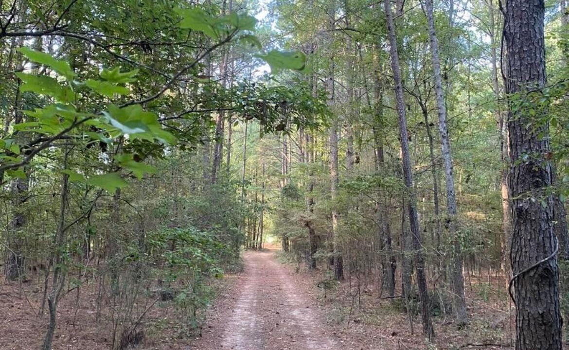 Photo of Outdoor in Harmon