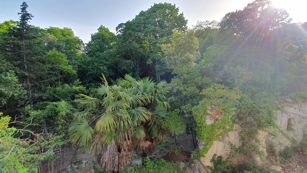 Photo of Outdoor in Alairac