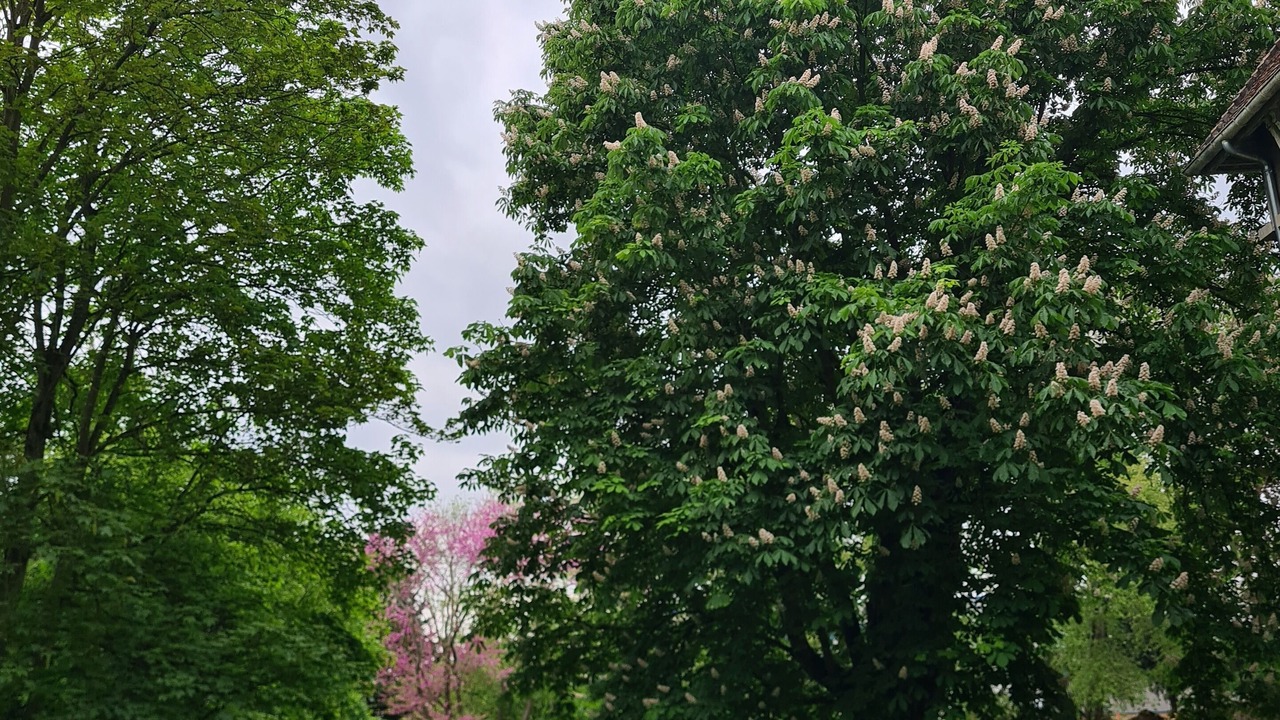 Photo of Outdoor in Thieux