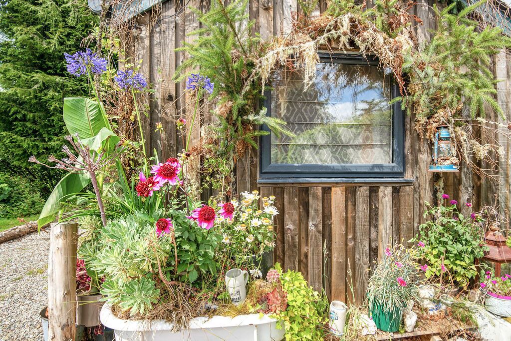 Photo of Outdoor in Lochearnhead