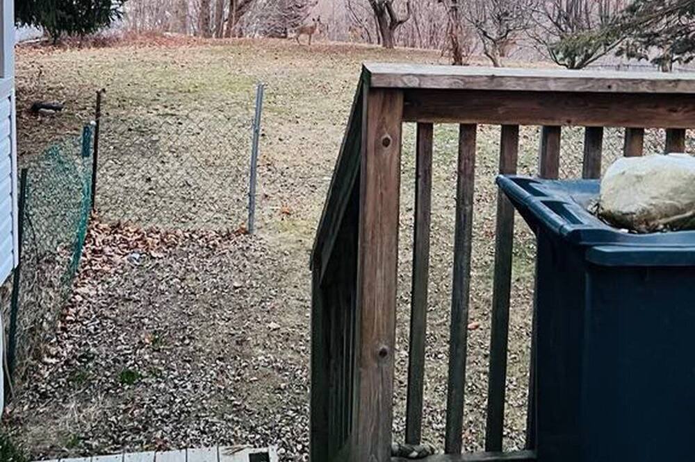 Photo of Outdoor in Central Elgin