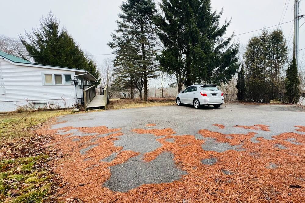 Photo of Outdoor in Central Elgin