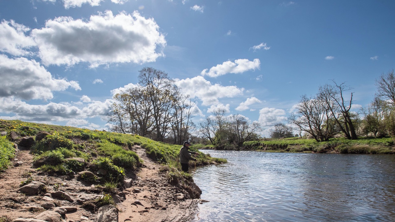 Photo of Others in Temple Sowerby