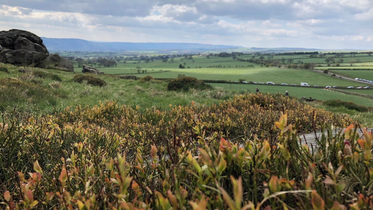 Photo of Others in Temple Sowerby