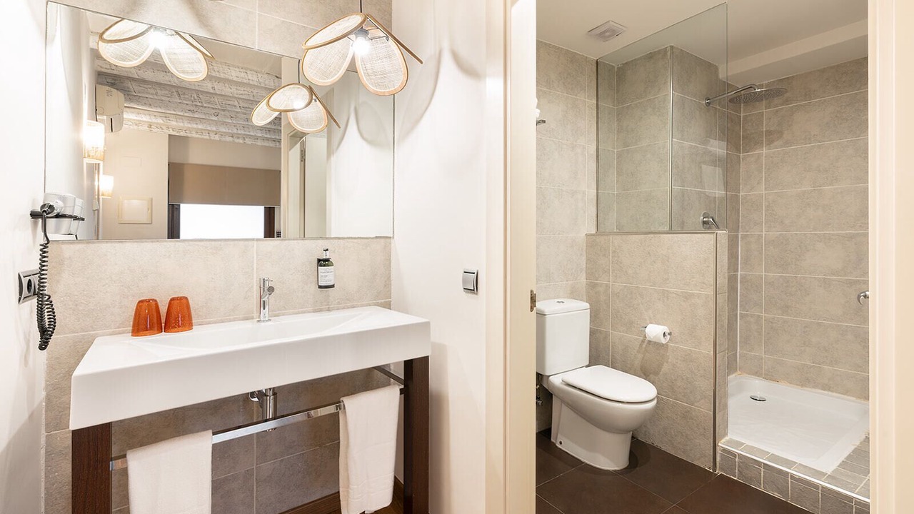 Photo of Bathroom in Tudela
