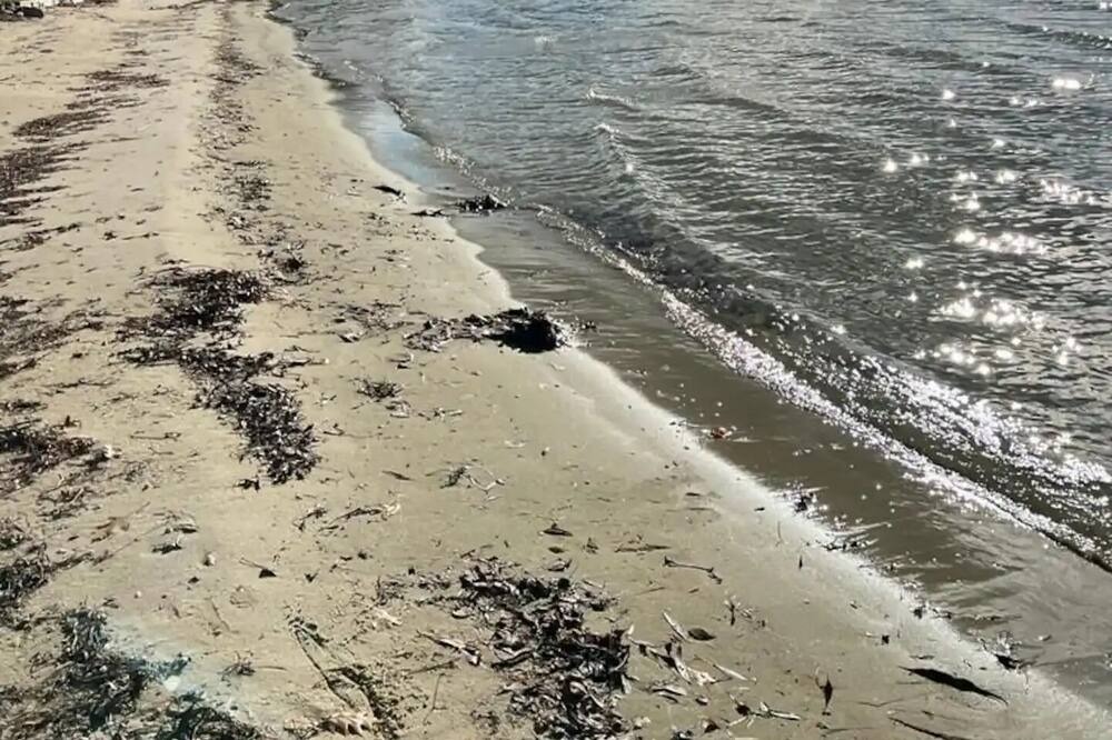 Photo of Others in Lagoon City