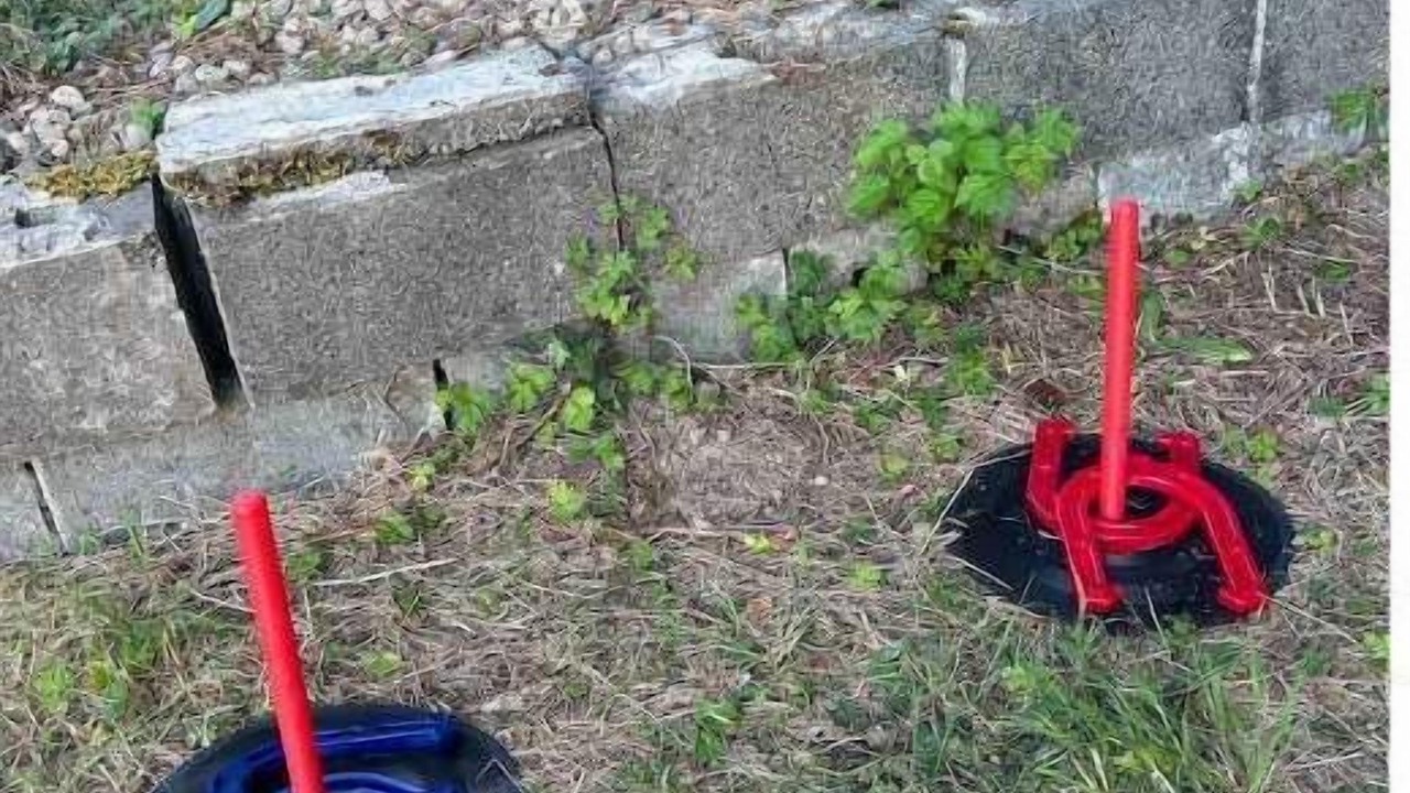 Photo of Others in East Renton Highlands