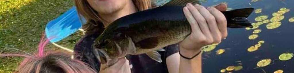 Photo of Others in East Renton Highlands