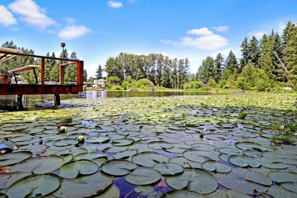 Photo of Outdoor in East Renton Highlands