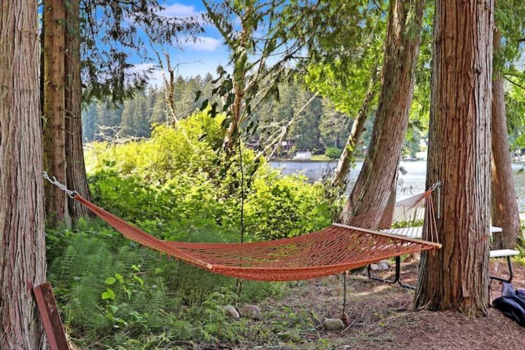 Photo of Outdoor in East Renton Highlands