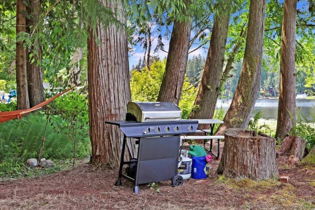 Photo of Outdoor in East Renton Highlands