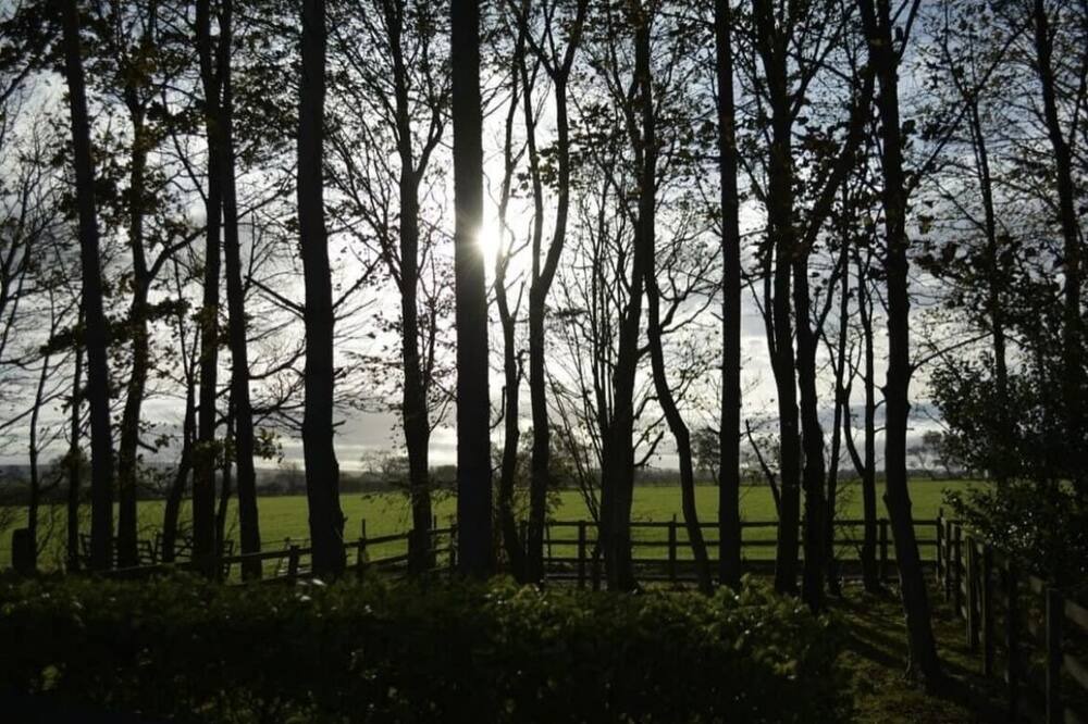 Photo of Others in Ripley