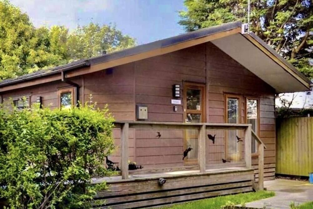 Photo of Others in Ripley