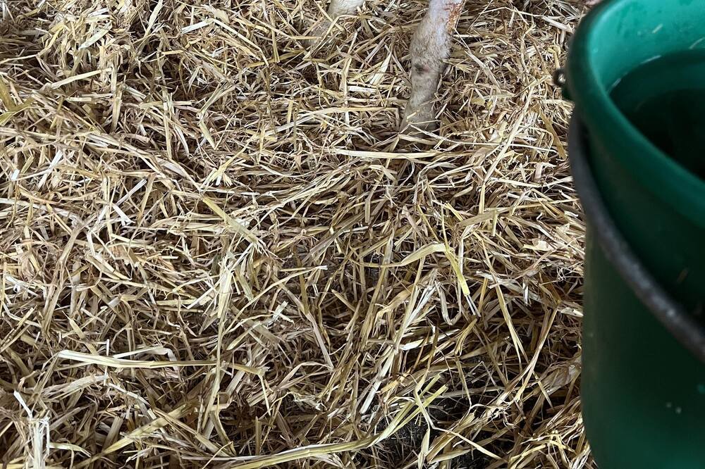 Photo of Others in Ripley