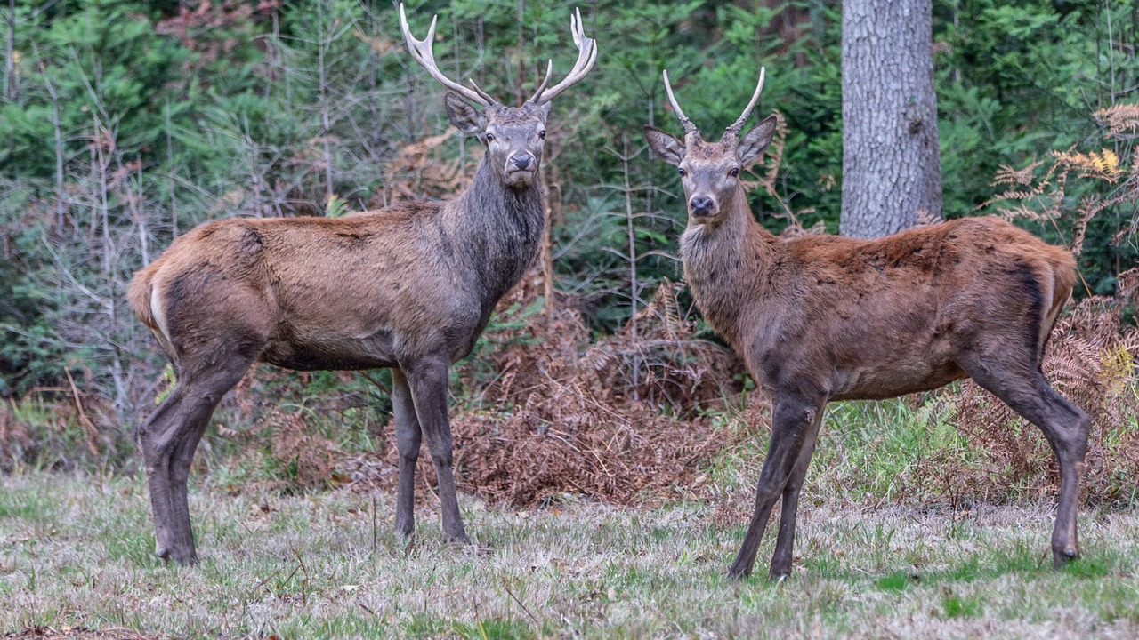 Photo of Others in Blancafort