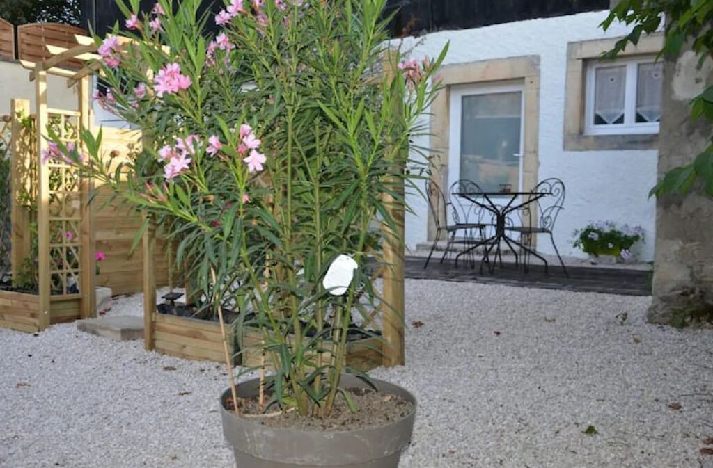 Photo of Patio Balcony in Villers-la-Faye