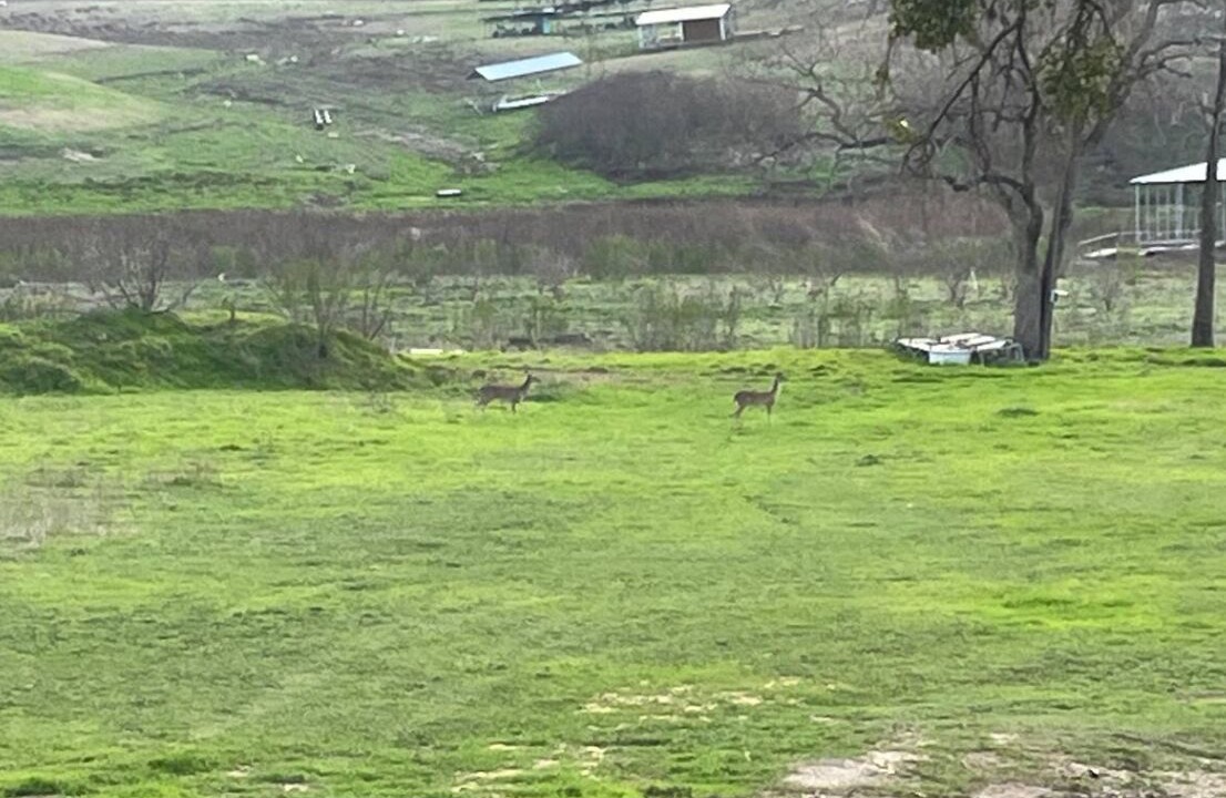 Photo of Others in Pedernales Bend