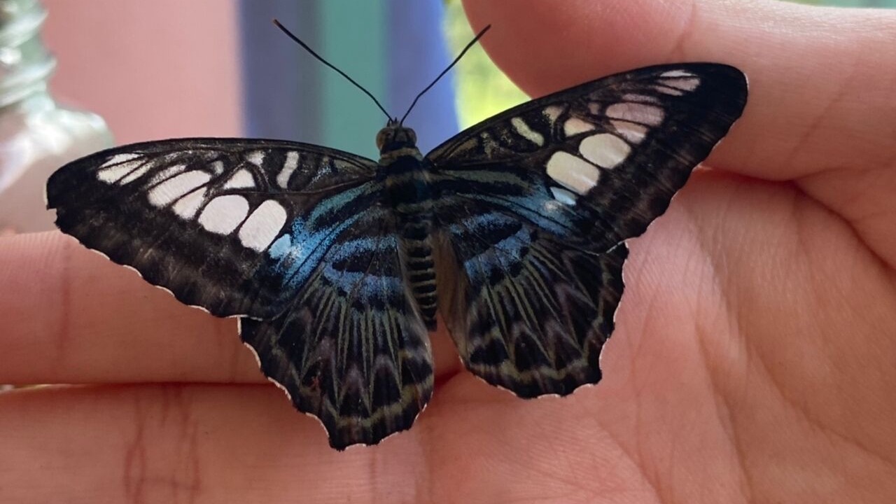 Photo of Outdoor in Pasir Penambang