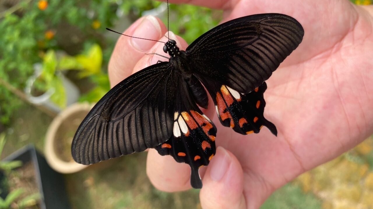 Photo of Outdoor in Pasir Penambang
