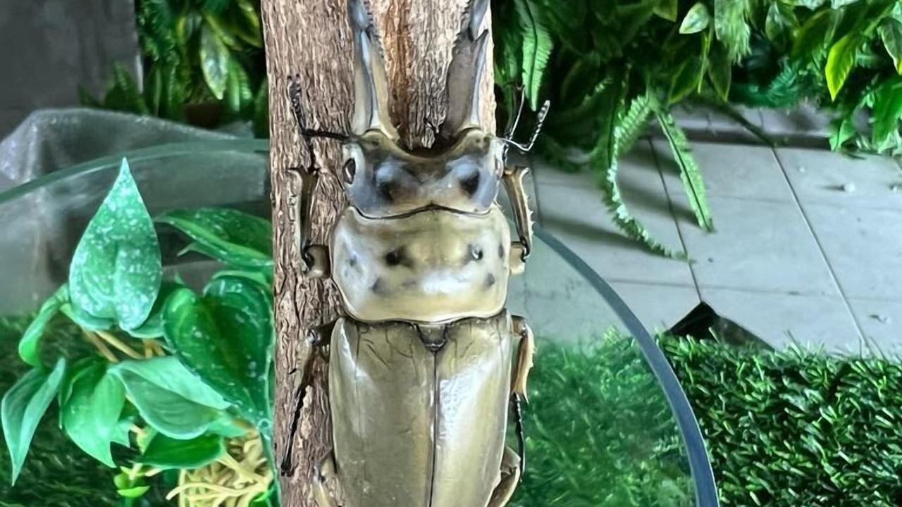 Photo of Outdoor in Pasir Penambang