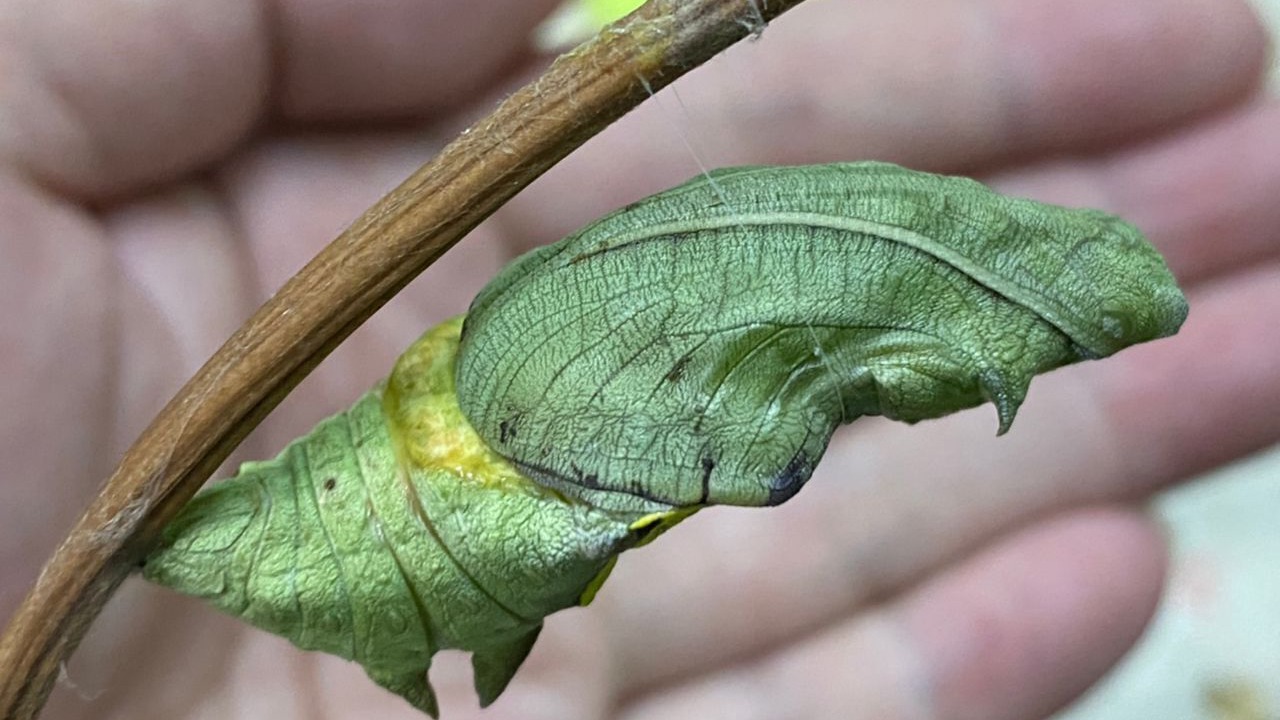 Photo of Outdoor in Pasir Penambang