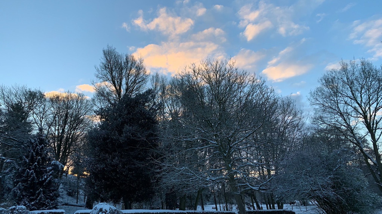 Photo of Others in Hethel