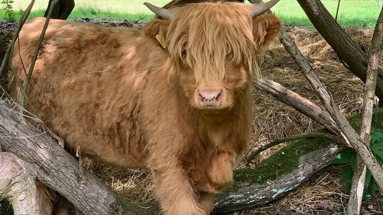 Photo of Others in Hethel