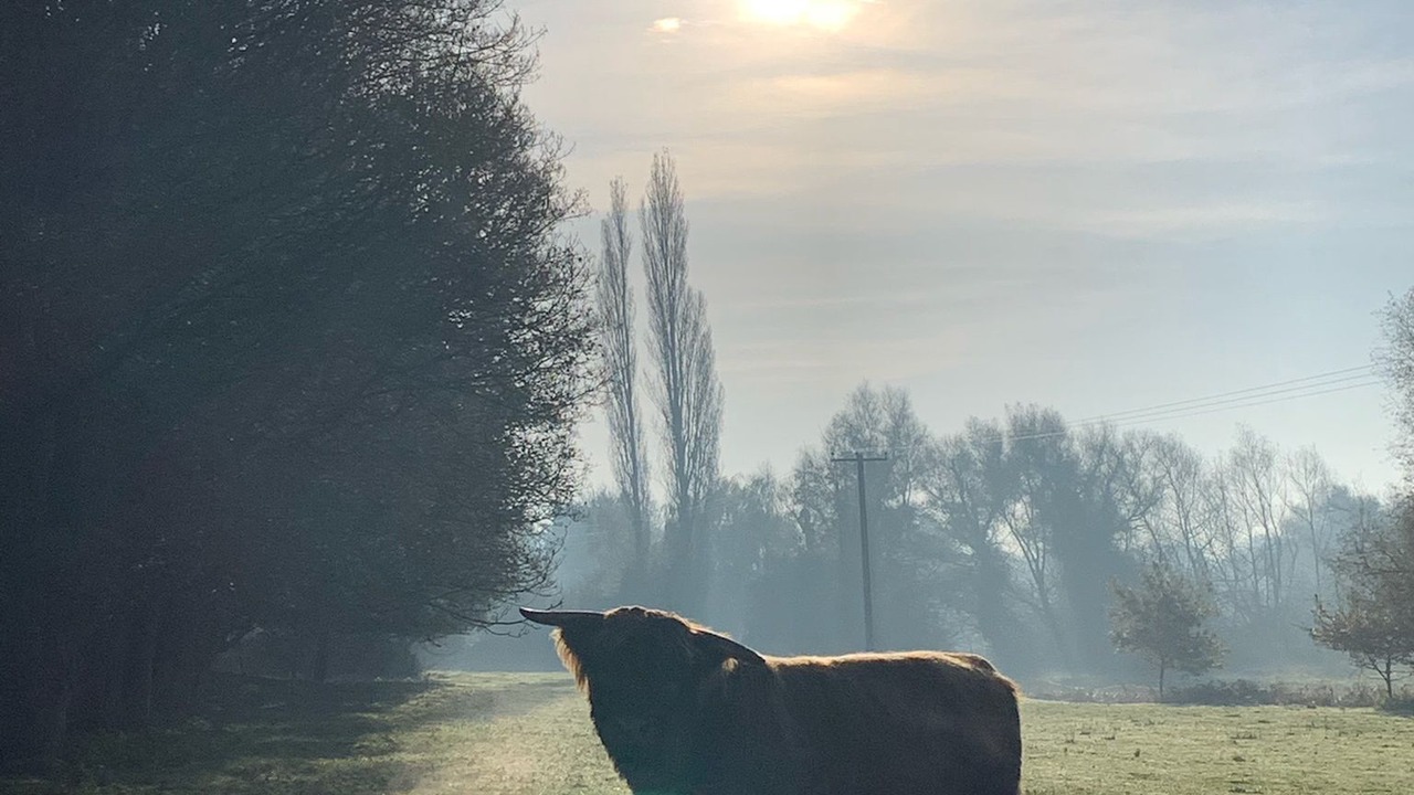 Photo of Outdoor in Hethel