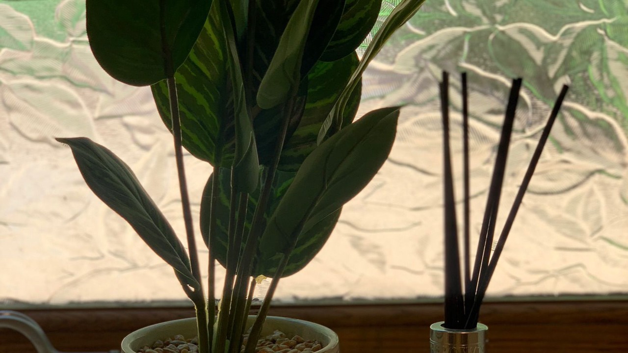 Photo of Others in Hethel