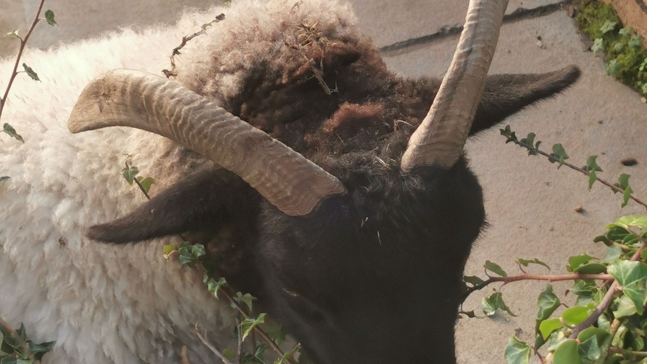 Photo of Outdoor in Hethel