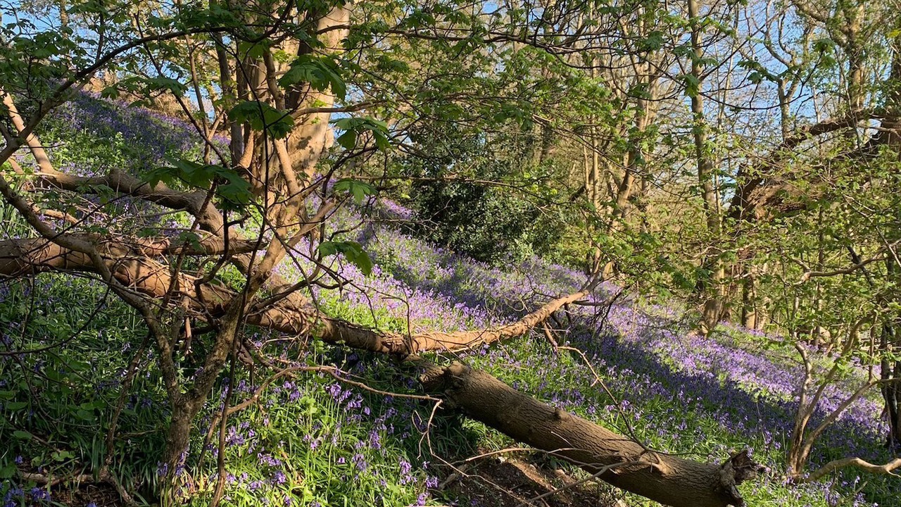 Photo of Outdoor in Hethel