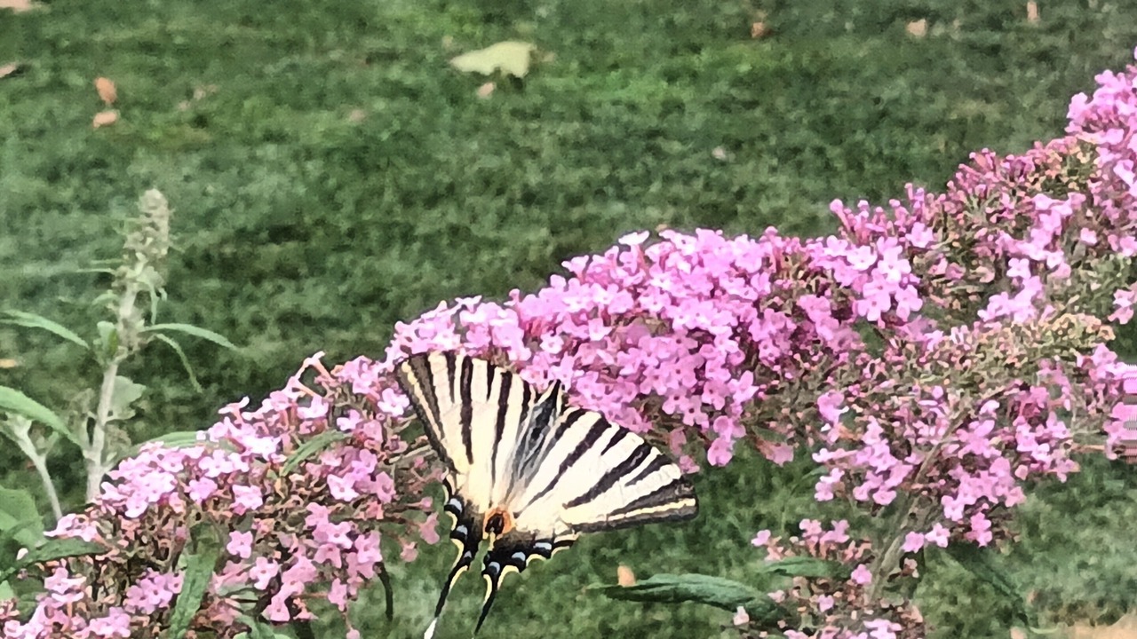 Photo of Outdoor in Salon-de-Provence