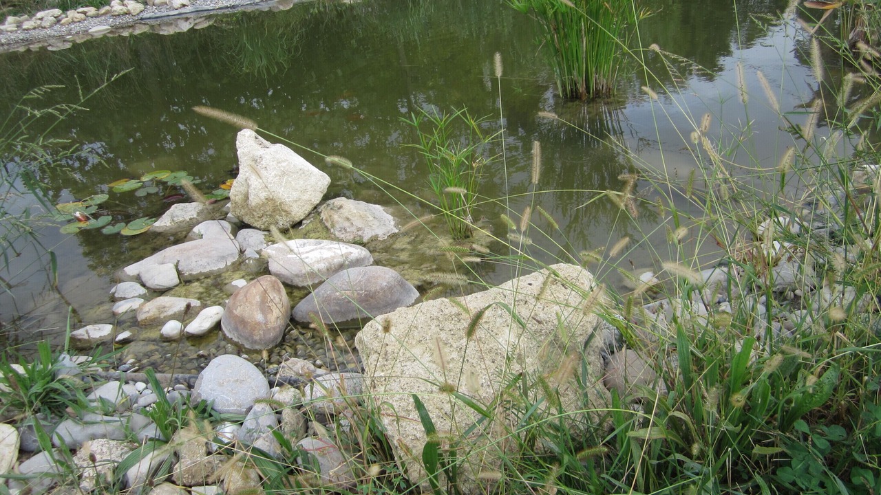 Photo of Others in Salon-de-Provence